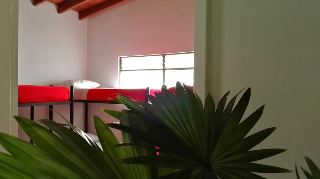 Saman Hostel เมเดยิน ภายนอก รูปภาพ